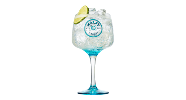 Gin malfy + premium indiano